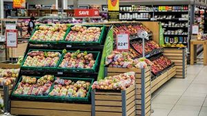 Control de plagas en Supermercados - Plagas Girona Conplag